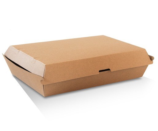 Brown Kraft Corrugated Family Box  (CTN100) PCB11